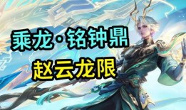 赵云龙最新爆料视频,深度解析事件背后真相