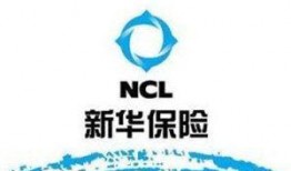 爆料新华保险视频大全,揭秘保险行业精彩瞬间